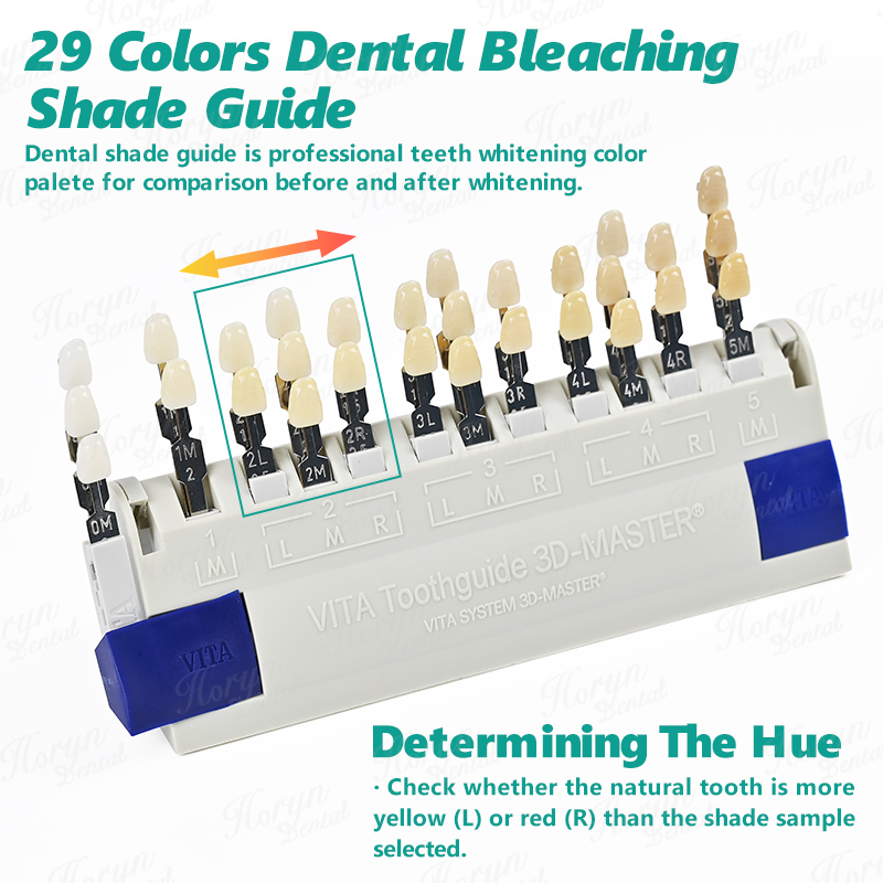 Vita 3D Master Dental Lab Blea - Teeth Whitening With Trays 评论和价格