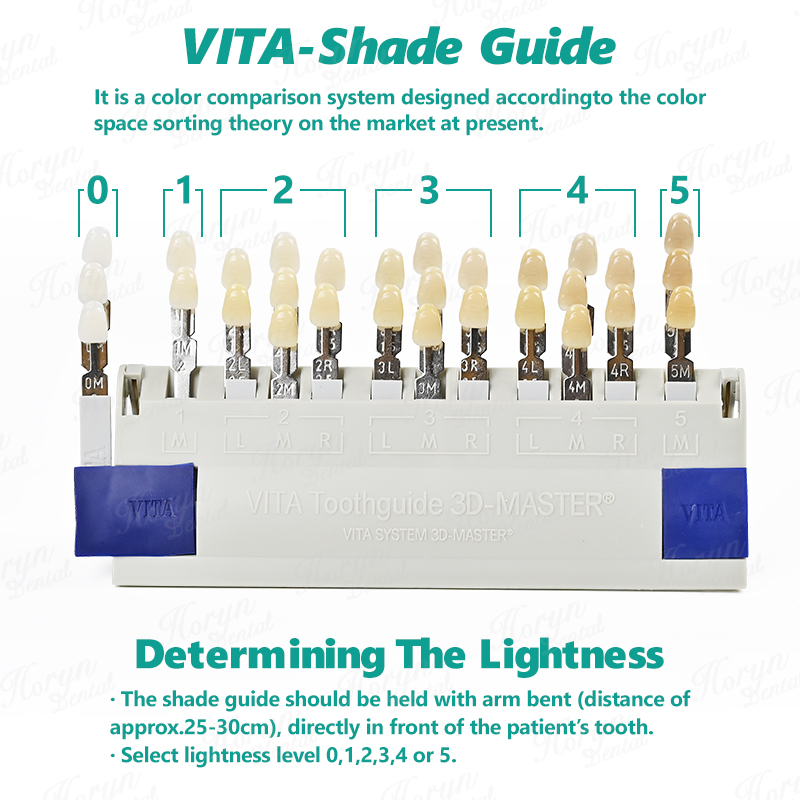 Vita 3D Master Dental Lab Blea - Teeth Whitening With Trays 评论和价格